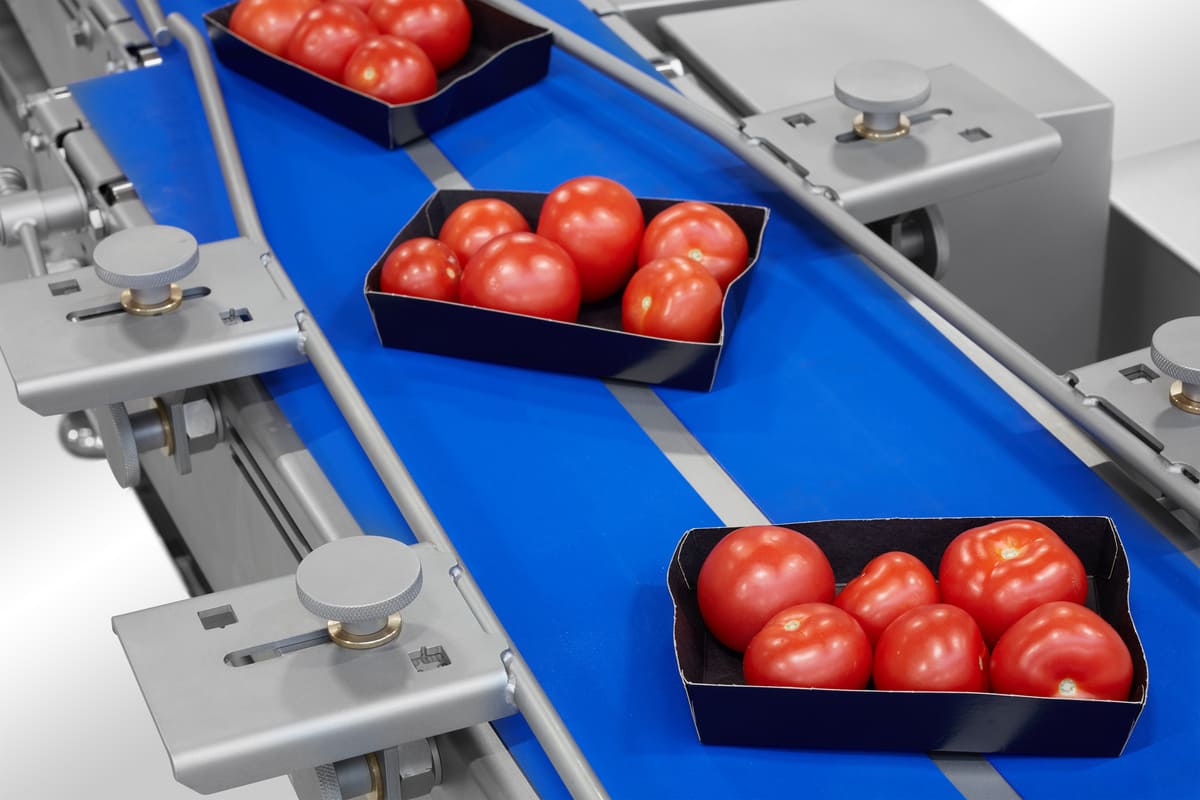 salonsimplexlitomerice_04